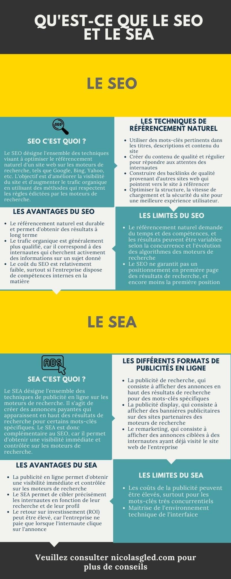 SEO SEA Infographie